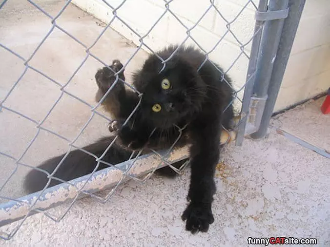 I Can Fit