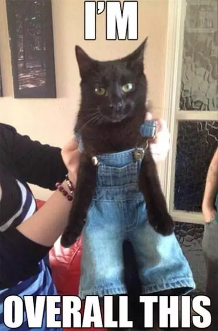 Im Overall This