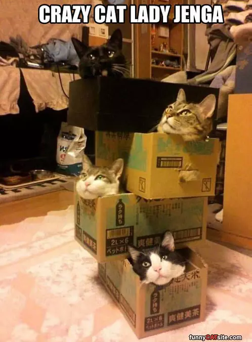 Crazy Cat Jenga
