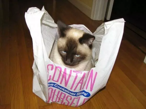 Contain Yourself