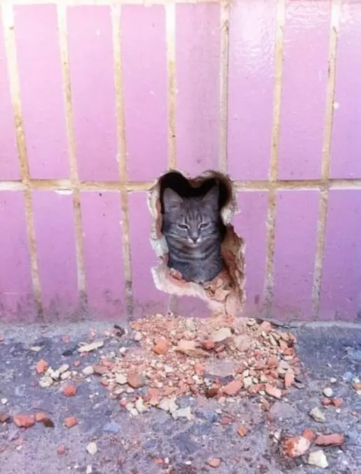My Hole In The Wall