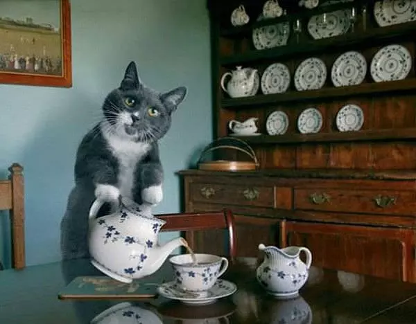 Tea Party