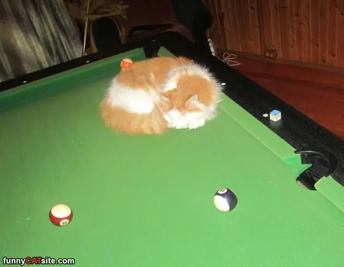 Lets Play Pool