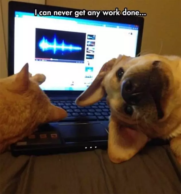 Can Never Get Work Done