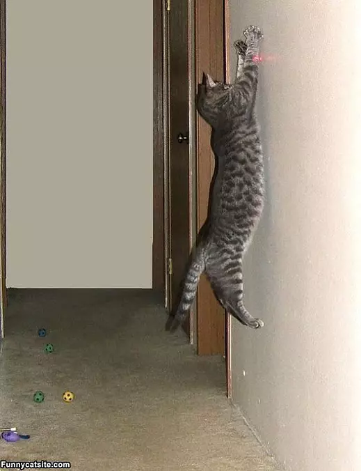 Laser Attack