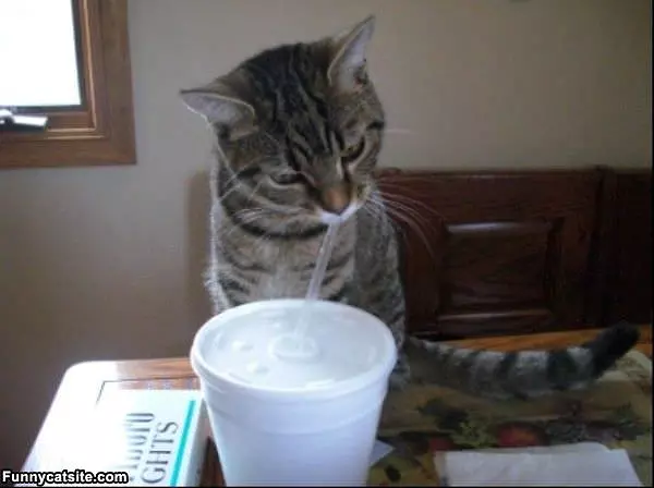 So Thirsty