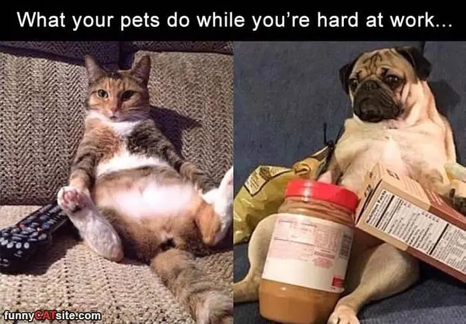 While You Are Hard At Work