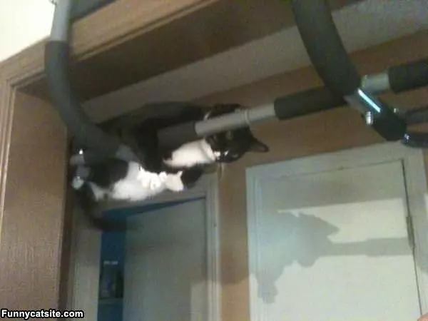 Just Hanging Around