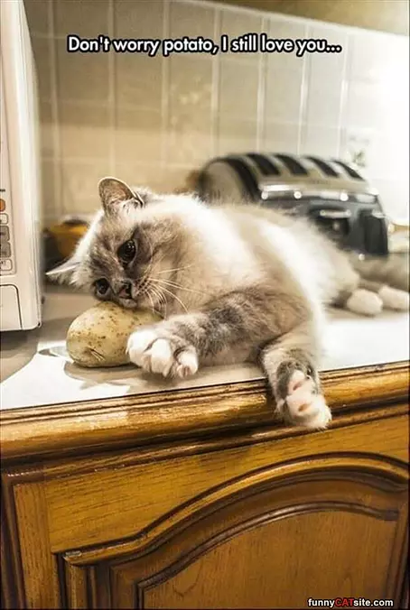 Dont Worry Potato
