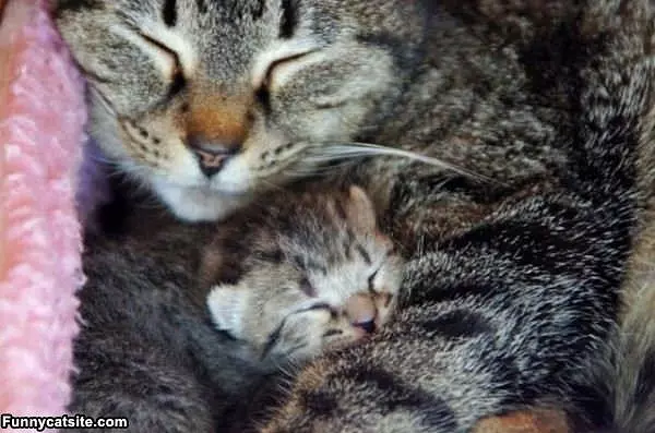 All Curled Up