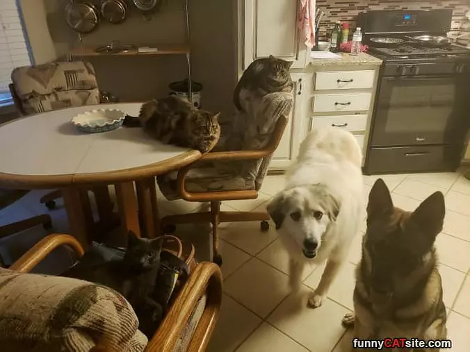 This Is A Nice Place To Sit