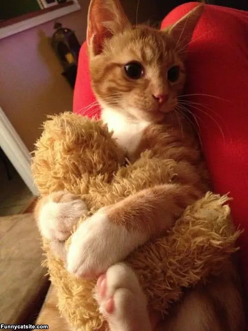 Hugging It Close