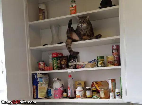 What Was That Sound