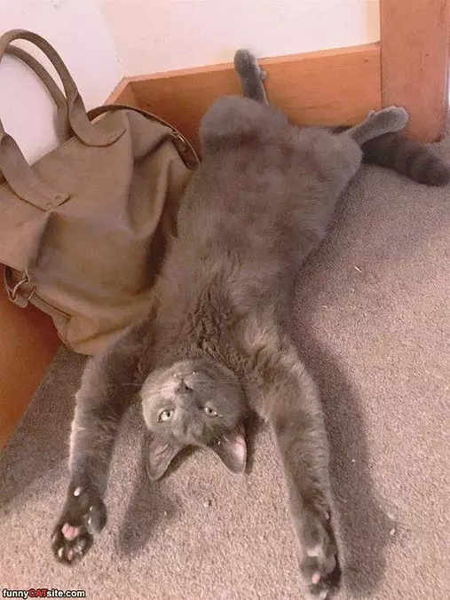 So Relaxed Today
