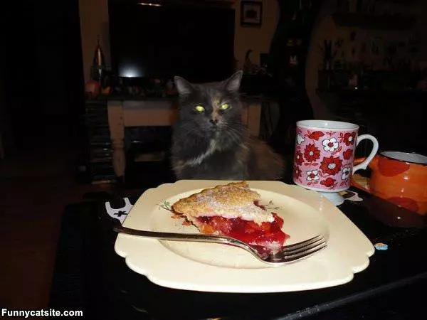 More Pie Please