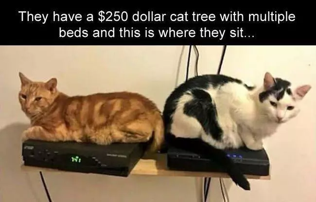 Where We Sit