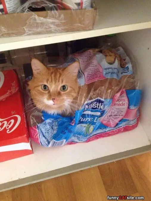 Hanging In Here