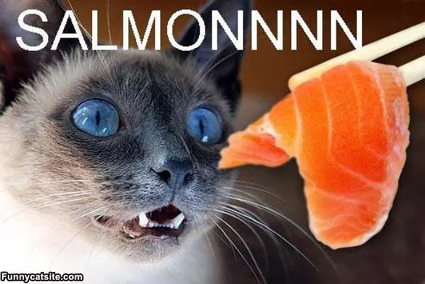 Salmooonnn