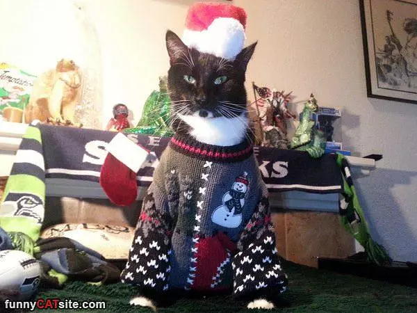 Nice Sweater