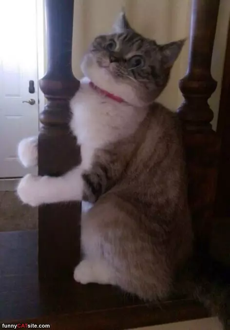 I Am Hugging It Out