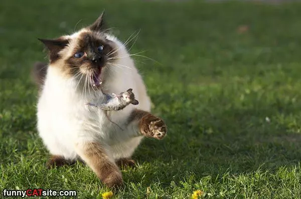 Ahhhh