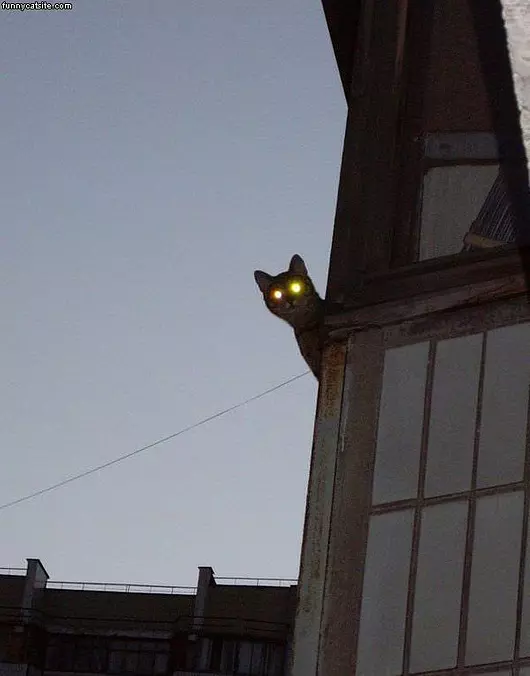 He Sees You