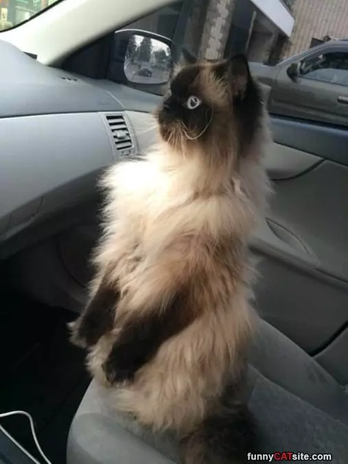 What Is Going On Out There