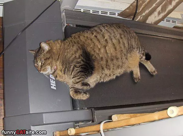 No Treadmill For Me