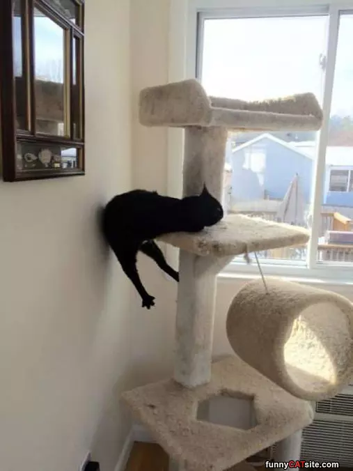 I Sleep How I Wants