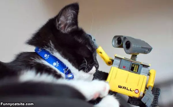 Thanks Wall E