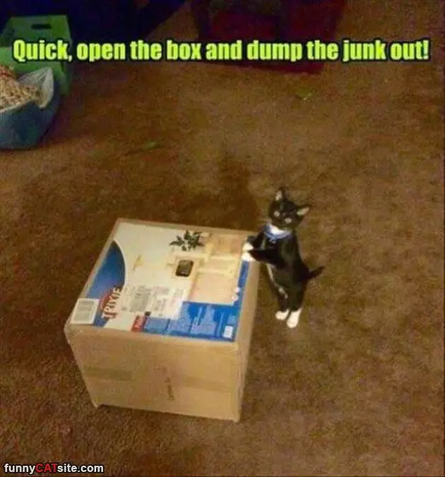Quick Open It For Me