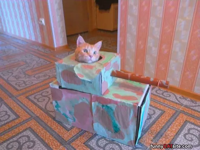 Battle Cat