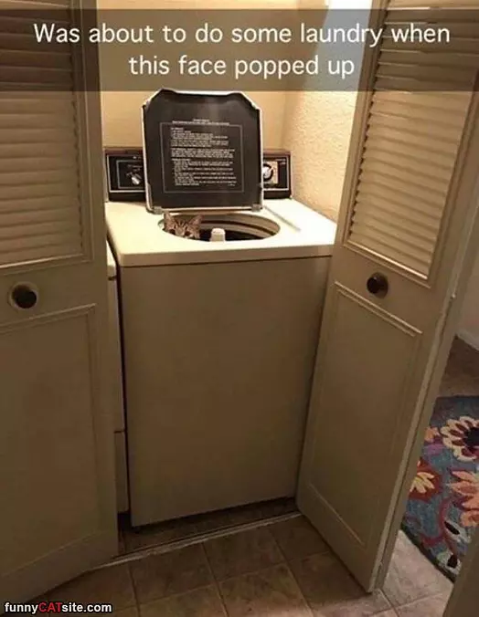 About To Do Some Laundry
