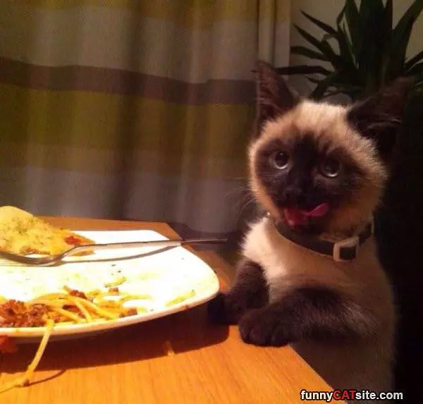 That Was Delicious Thanks