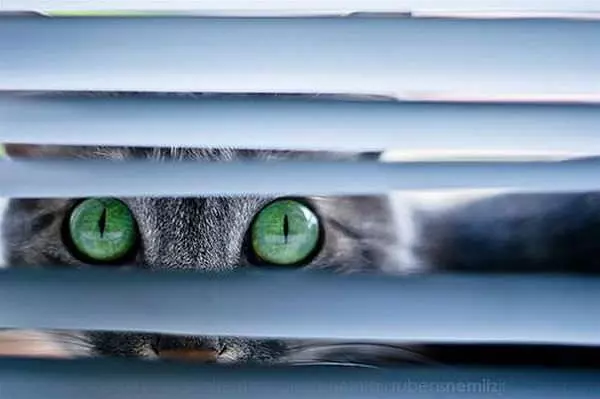 Peaking