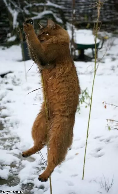 Got You