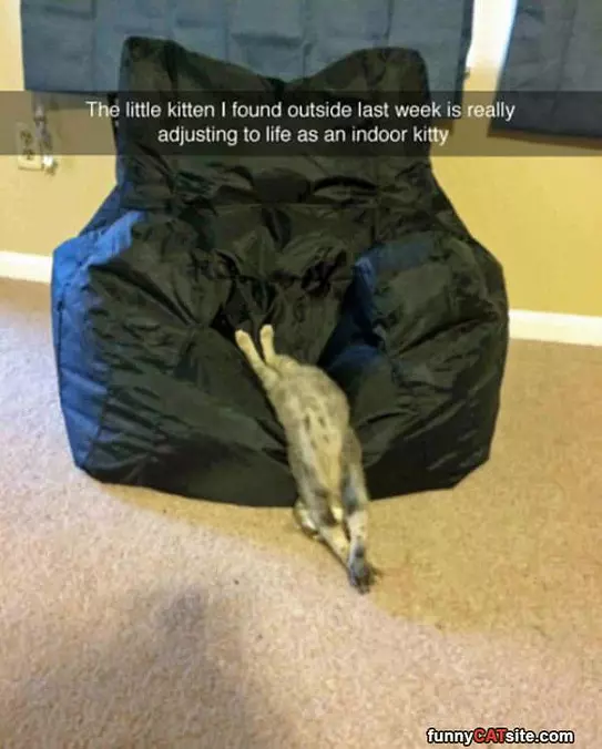 Adjusting Well