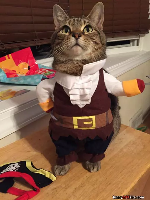 I Am A Pirate