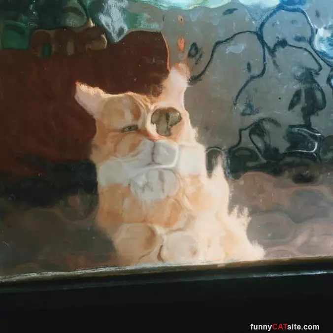 Heyyy Let Me In