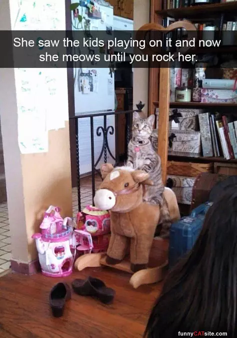 You Need To Rock Me