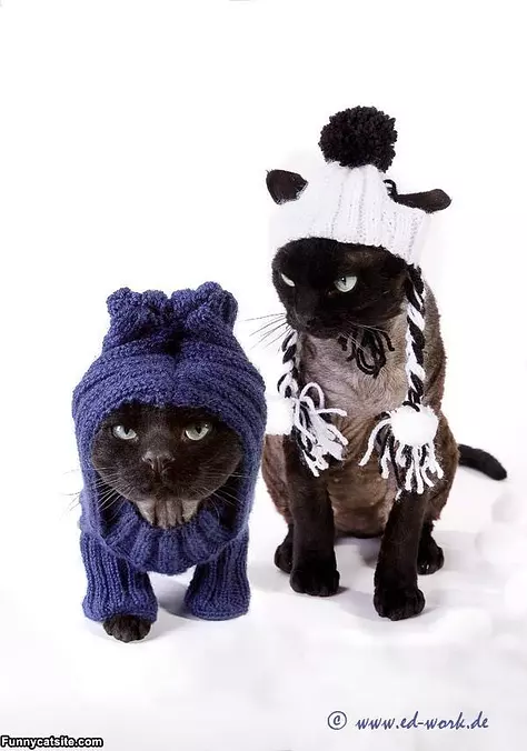 Very Warm