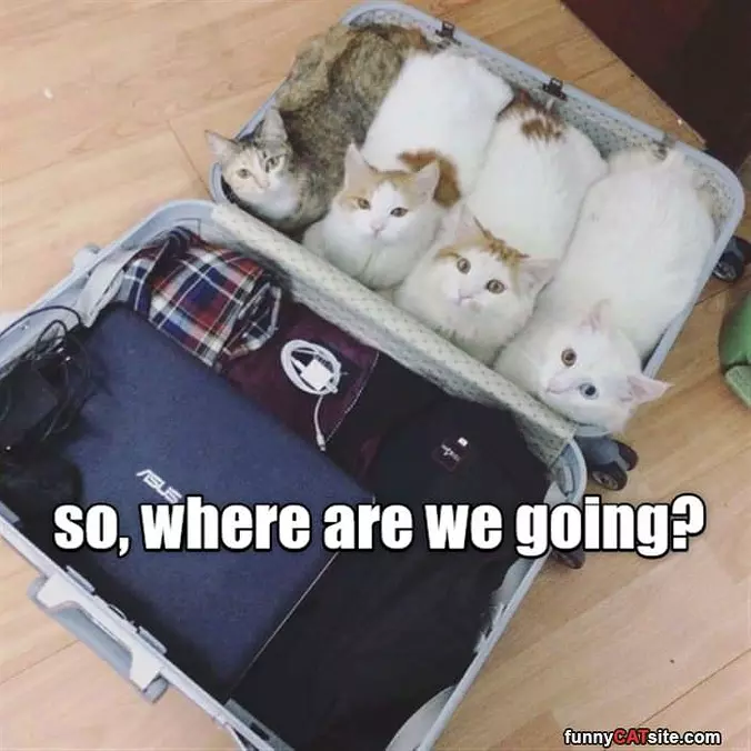 So Where Are We Going