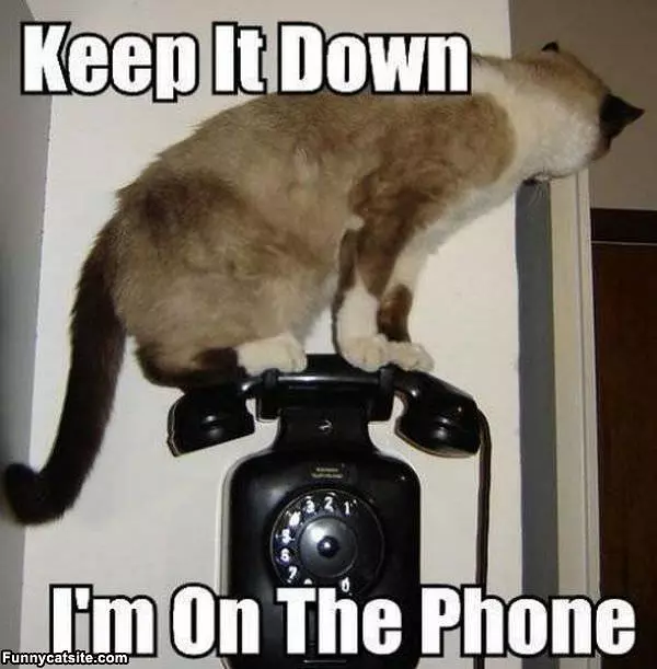 Keep It Down