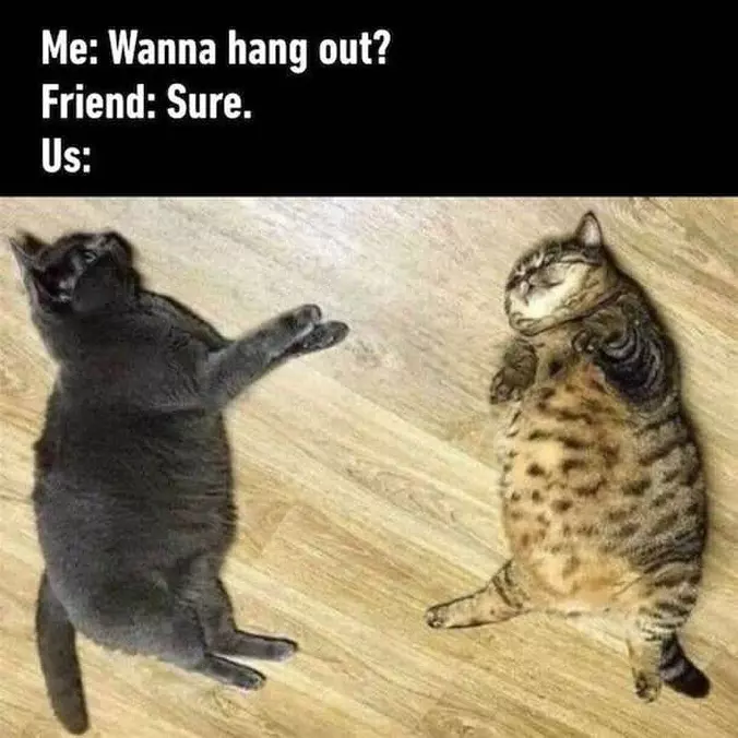 Wanna Hang Out