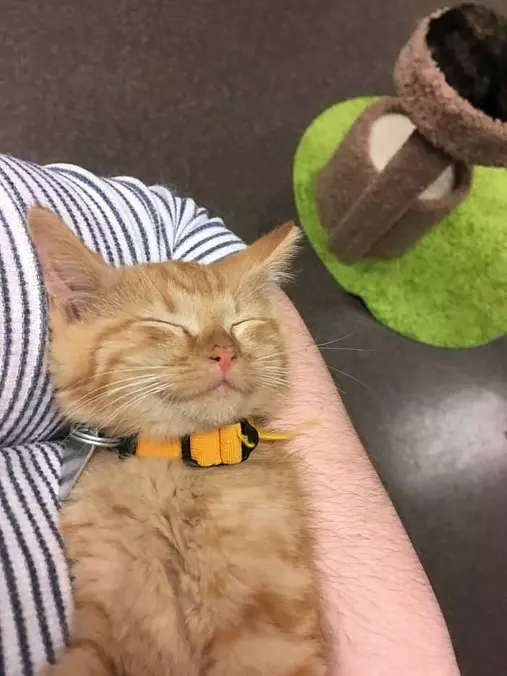 Asleep Here