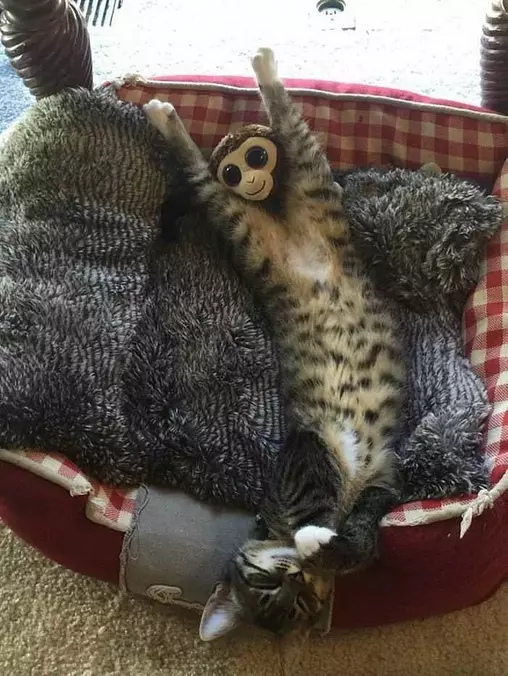 Just So Relaxxxed