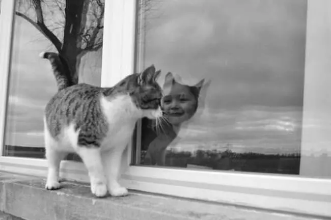 She Loves The Kitty