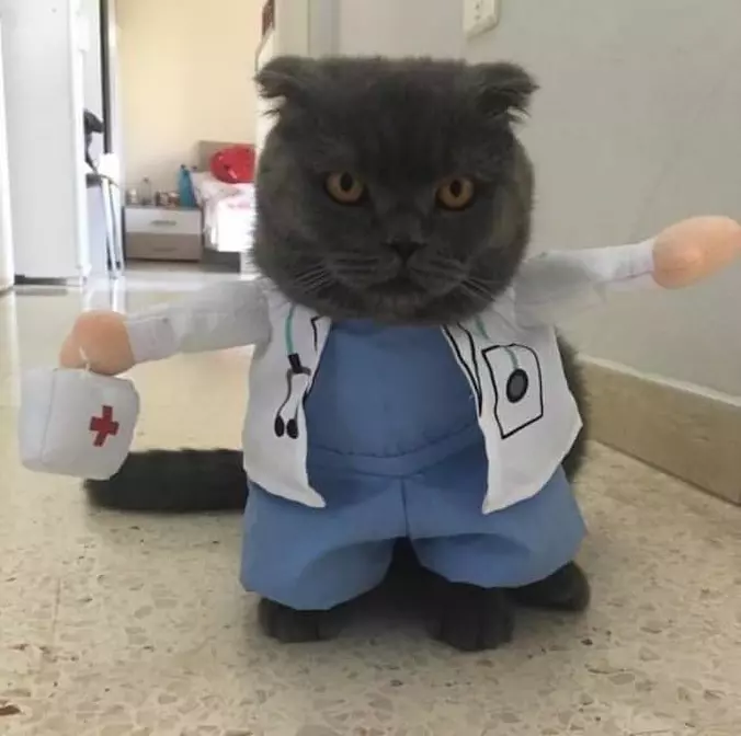 The Doctor Is In