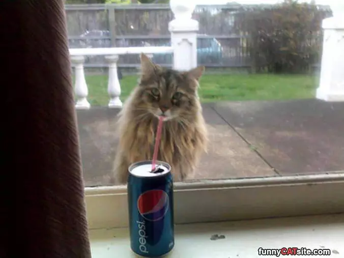 A Pepsi