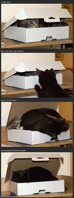 I Has A Box